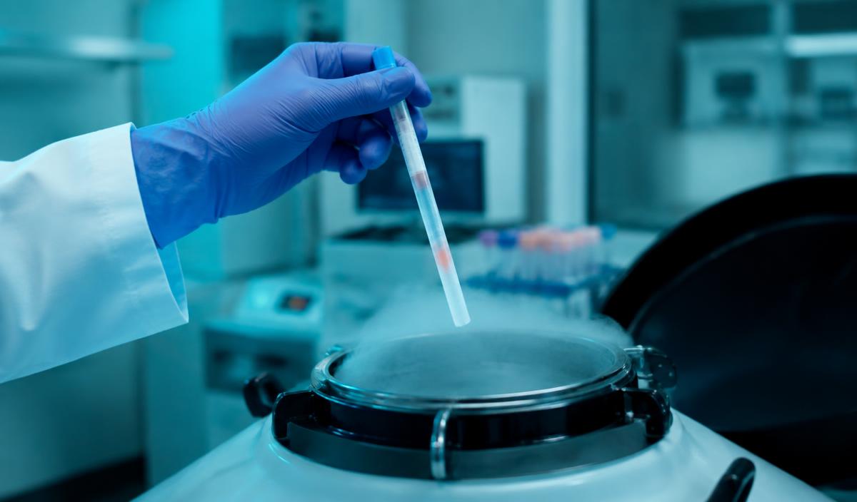 What is IVF with Donor Egg?